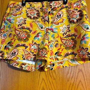 Super Fun Loft Shorts